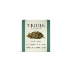 Terre Santa Verde 1gr